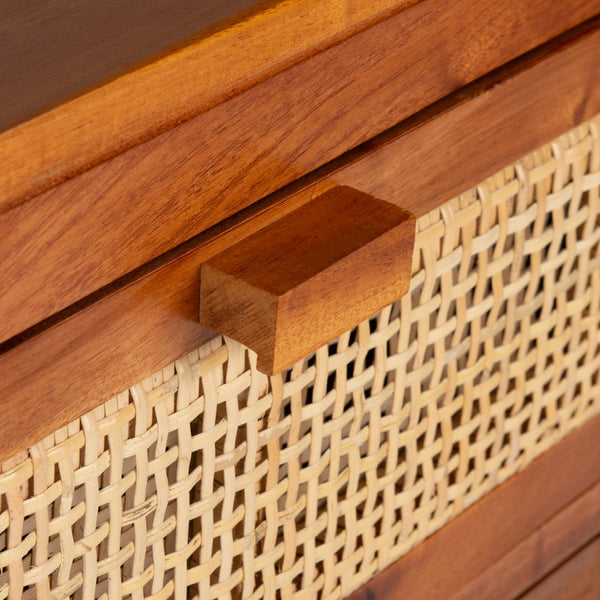 Safavieh Devon 1 Drawer 1 Door Nightstand NST4002A