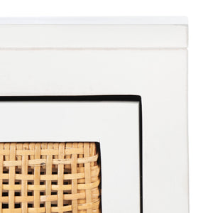 Safavieh Dave 1 Drawer 1 Door Nightstand NST4003C