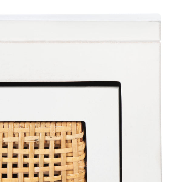 Safavieh Dave 1 Drawer 1 Door Nightstand NST4003C