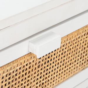 Safavieh Dave 1 Drawer 1 Door Nightstand NST4003C