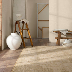 Jaipur Living Onessa Danet ONE07 Hand Knotted Handmade Indoor Persian Knot 6/5 Updated Traditional Rug Tan 6' x 9'