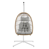 Swing Egg Chair with Stand - Brown/Grey