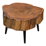 Panorama Natural Acacia One of a Kind Cocktail Table w/ Live Edge & Black Iron Legs by Diamond Sofa