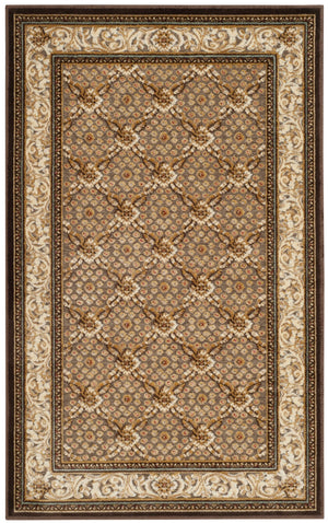 Safavieh Par04 Power Loomed 75% Viscose/18% Polyester/7% Cotton Traditional Rug PAR04-303-24