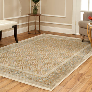 Safavieh Par04 Power Loomed 75% Viscose/18% Polyester/7% Cotton Traditional Rug PAR04-404-3
