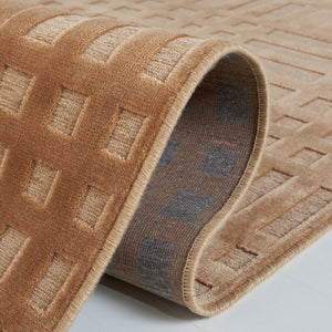 Safavieh Par160 Power Loomed 75% Viscose/18% Polyester/7% Cotton Transitional Rug PAR160-1660-24