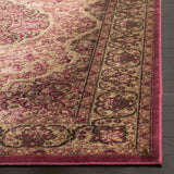 Safavieh Paradise 369 Power Loomed 75% Viscose/18% Polyester/7% Cotton Traditional Rug PAR369-5888-24