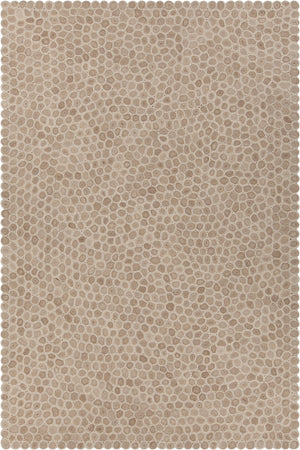 Chandra Rugs Patagonia 100% Wool Hand-Woven Contemporary Wool Rug White/Brown/Beige 9' x 13'