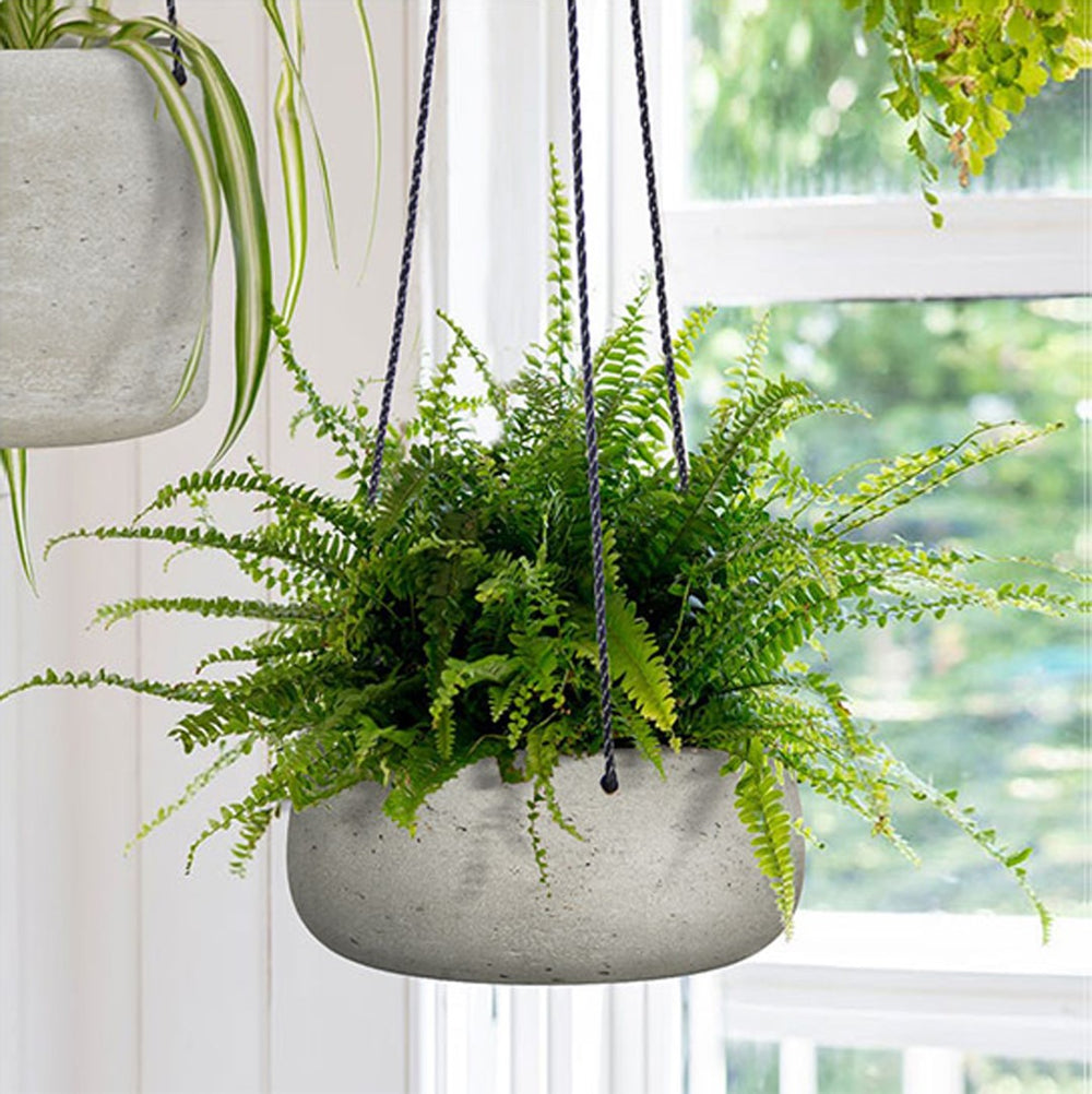 LH Imports Circular Medium Hanging Pot PAT021-M