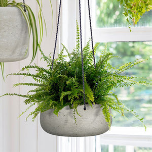 LH Imports Circular Medium Hanging Pot PAT021-M