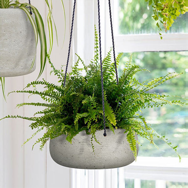 LH Imports Circular Medium Hanging Pot PAT021-M