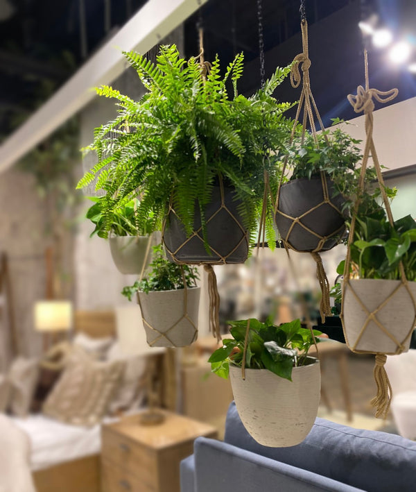 LH Imports Craft Medium Hanging Pot With Netting PAT024-S