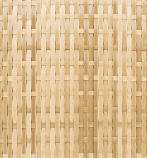 Edna 3 Piece Lounge Set - Tropical Modern Design with Plush Cushions for Outdoor Living Spaces