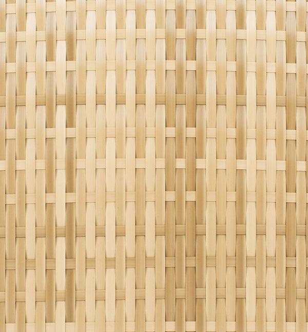 Edna 3 Piece Lounge Set - Tropical Modern Design with Plush Cushions for Outdoor Living Spaces