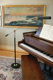 Grand Piano Counter Balance Floor Lamp in Black with Polished Brass Accents