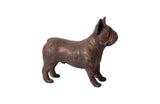 French Bulldog, Bronze