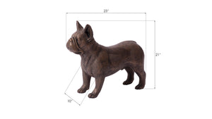 French Bulldog, Bronze