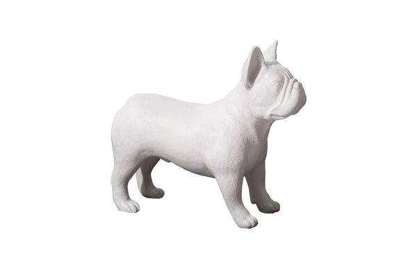 French Bulldog, Gel Coat White