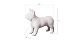 French Bulldog, Gel Coat White