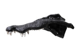 Crocodile Skull Wall Art, Black with Silver Leaf Teeth