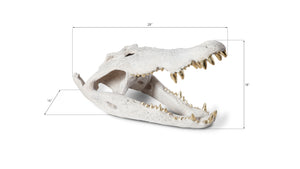 Crocodile Skull, Roman Stone, Gold Leaf