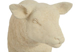 Texelaar Sheep, Lamb, Cream