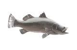 Barramundi Fish Wall Sculpture, Resin, Silver Leaf