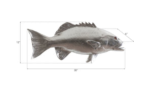 Coral Trout Fish Wall Sculpture, Resin, Silver Leaf