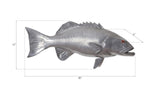 Coral Trout Fish Wall Sculpture, Resin, Polished Aluminum Finish