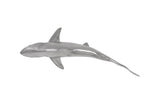 Whaler Shark Fish Wall Sculpture