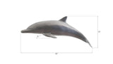 Dolphin, Polished Aluminum