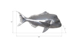 Australian Snapper Fish Wall Sculpture, Resin, Polished Aluminum Finish