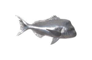 Australian Snapper Fish Wall Sculpture, Resin, Polished Aluminum Finish