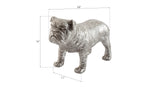 Bulldog, Silver Leaf