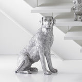 Labrador Dog, Sitting, Silver Leaf