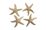 Starfish, Gold Leaf, Set of 4, MD