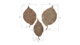 Elm Leaf Wall Tiles, Set of 3, Rust