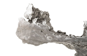 Burled Root Wall Art, Medium, Silver Leaf