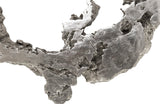 Burled Root Wall Art, Medium, Silver Leaf