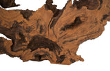 Burled Root Wall Art, Large, Faux Bois Finish