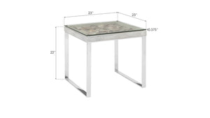 Shell Side Table, w/Glass, SS Legs