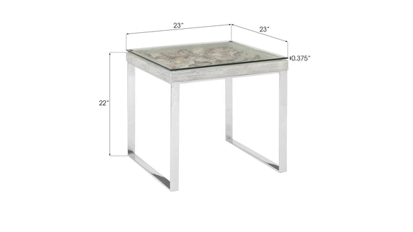 Shell Side Table, w/Glass, SS Legs