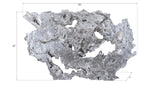 Burled Root Wall Art, Large, Silver Leaf