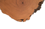 Burled Root Wall Art, Faux Bois, SM