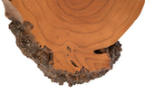 Burled Root Wall Art, Faux Bois, SM