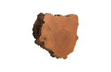 Burled Root Wall Art, Small, Faux Bois Finish