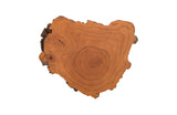 Burled Root Wall Art, Small, Faux Bois Finish