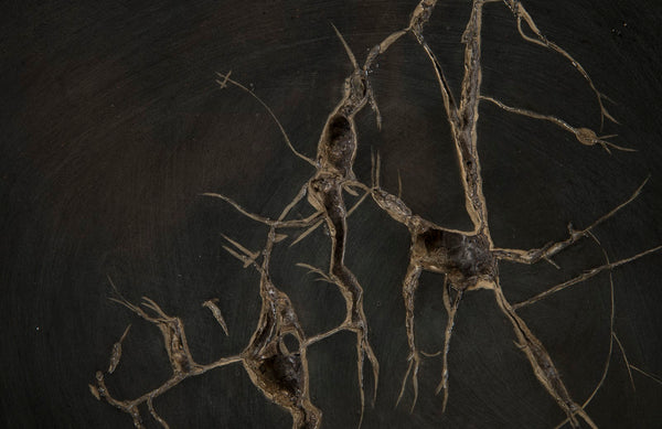 Cast Petrified Wood Wall Tile, Resin