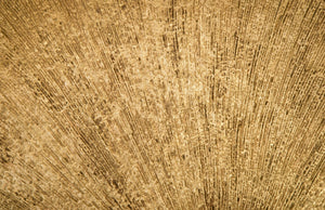 Convergence Mirror, Resin, Gold Leaf