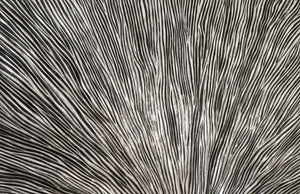 Colossal Fungia, Silver Leaf, Slate Pedestal